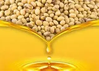 Торік Україна експортувала рекордні обсяги соєвої олії