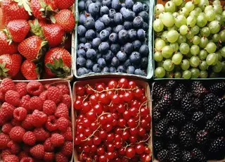 Українські ягоди на виставці Anuga 2025: понад 100 компаній презентували продукцію