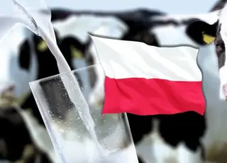 Польща наростила експорт молочної продукції