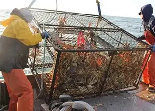 Україна стала повноправним членом Генеральної комісії з рибальства у Середземномор’ї